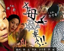 怒放的花儿
